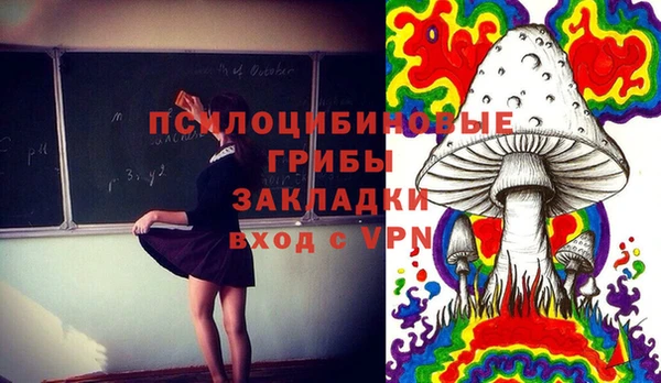 таблы Алексеевка